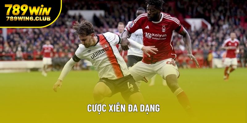 Cược Xiên Đa Dạng - Khám Phá Chiến Thuật Trong Cá Cược Thể Thao