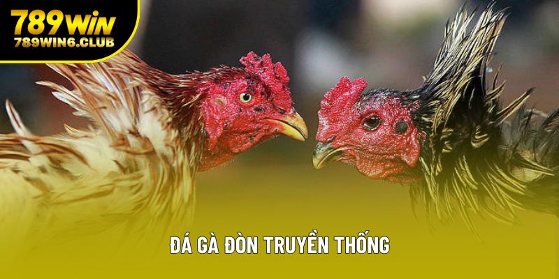 Khám Phá Đá Gà Đòn Truyền Thống Đặc Sắc Việt Nam
