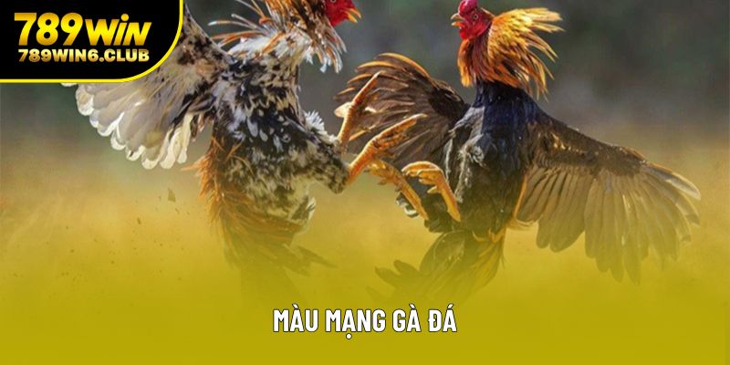 Khám Phá Bí Ẩn Về Màu Mạng Gà Đá Trong Giới Đá Gà
